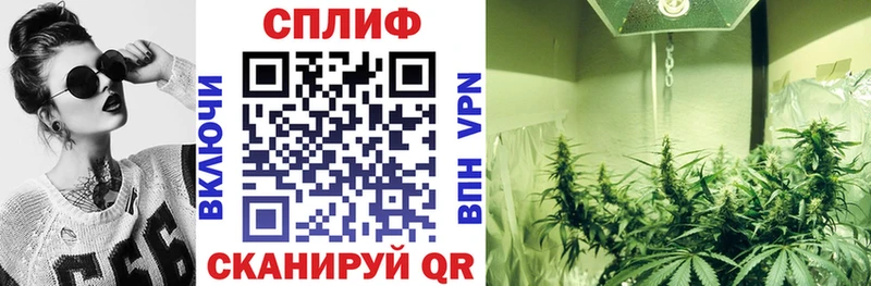 Бошки марихуана SATIVA & INDICA Ярцево